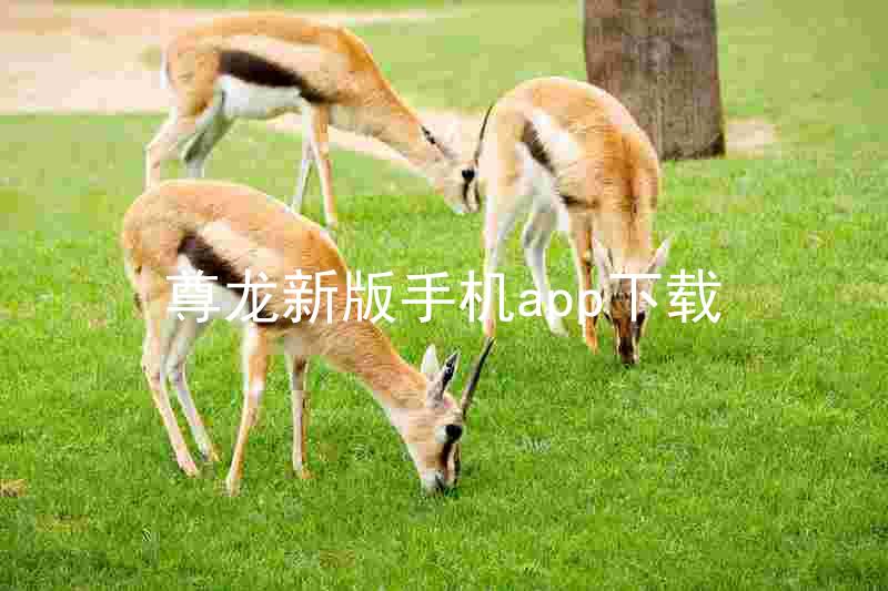 尊龙新版手机app下载